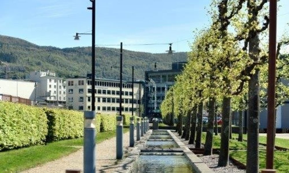 Bilde Bergen